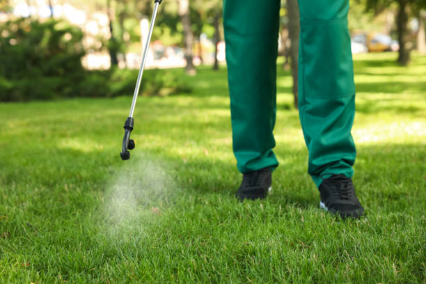 Best Best Pest Control Near Me  in Safford, AZ