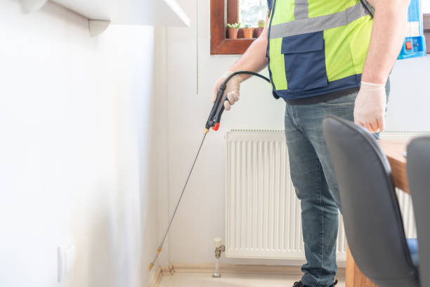 Best Insect Control  in Safford, AZ