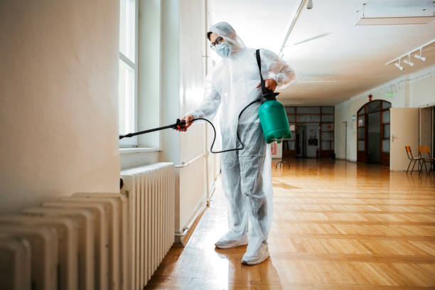 Best Rodent Control Near Me  in Safford, AZ