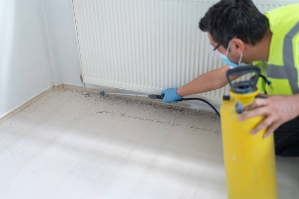 Pest Control Cost in Safford, AZ